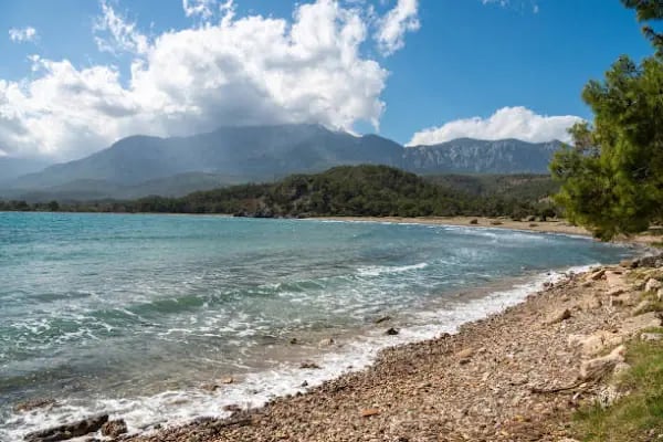Atarlı Beach - Resim 14