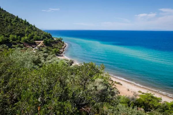 Atarlı Beach - Resim 20