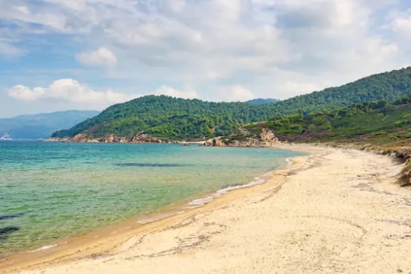 Atarlı Beach - Resim 17