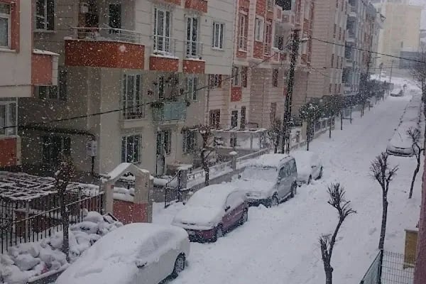 Selçuk Adalı Parkı - Resim 19