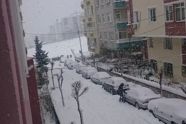 Selçuk Adalı Parkı - Resim 4