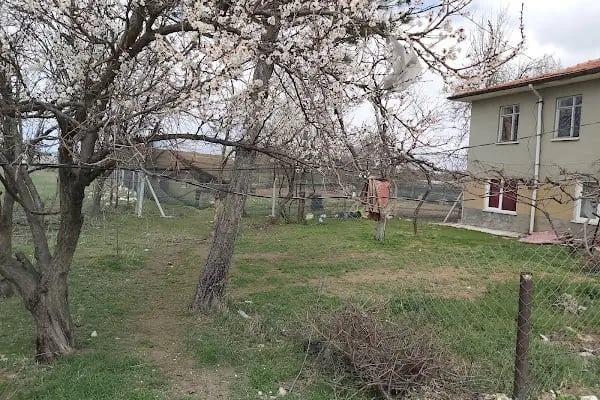 Esenboğa Paintbal MOBİĹ OLARAK HİZMET VERIR SİZ OYUN ALANINIZI BELİRLEYİN.GELİP SİZE GÜZEL VAKİT GEÇİRTEYİM.KAMPLARA HİZMET - Resim 9