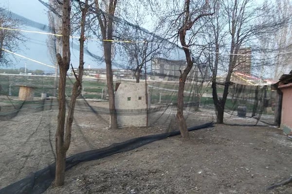 Esenboğa Paintbal MOBİĹ OLARAK HİZMET VERIR SİZ OYUN ALANINIZI BELİRLEYİN.GELİP SİZE GÜZEL VAKİT GEÇİRTEYİM.KAMPLARA HİZMET - Resim 14