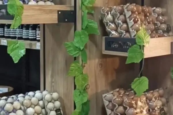 Ayhan Sebze Meyve Dünyası - Resim 5