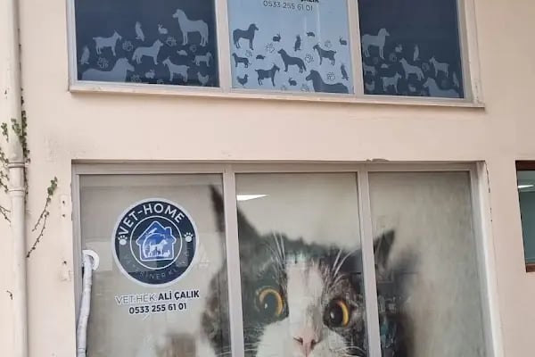 VET-HOME VETERİNER KLİNİĞİ - Resim 18