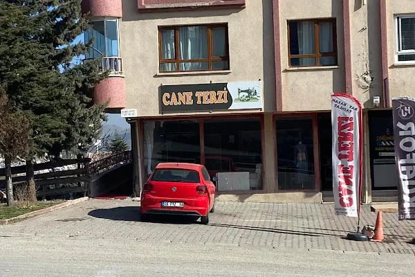 CANE TERZİ - Resim 3
