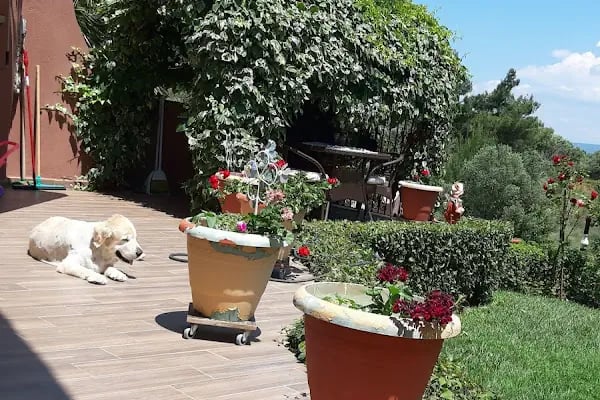 Boğazkent Tatil Sitesi - Resim 17
