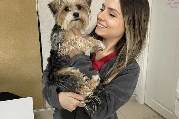 Vetfoks Veteriner Kliniği - Resim 18