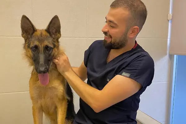 Vetfoks Veteriner Kliniği - Resim 17