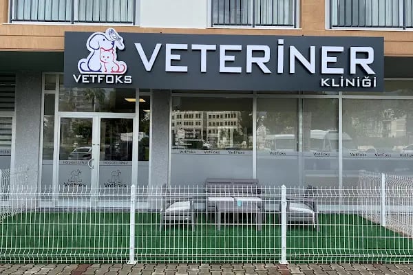 Vetfoks Veteriner Kliniği - Resim 2