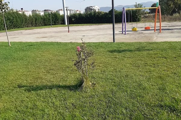 Şahin Başol Spor Kompleksi - Resim 19