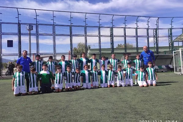 Şahin Başol Spor Kompleksi - Resim 3