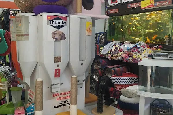 SARAY PETSHOP AKVARYUM VE KUŞ GALERİSİ - Resim 20