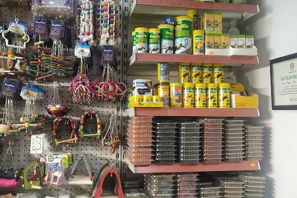 SARAY PETSHOP AKVARYUM VE KUŞ GALERİSİ - Resim 19