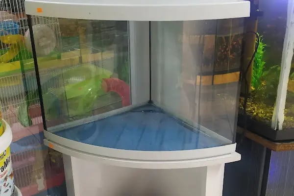 SARAY PETSHOP AKVARYUM VE KUŞ GALERİSİ - Resim 7