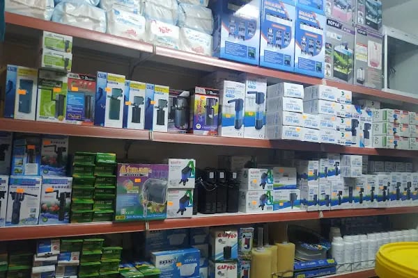 SARAY PETSHOP AKVARYUM VE KUŞ GALERİSİ - Resim 18