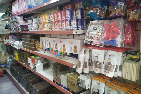 SARAY PETSHOP AKVARYUM VE KUŞ GALERİSİ - Resim 6