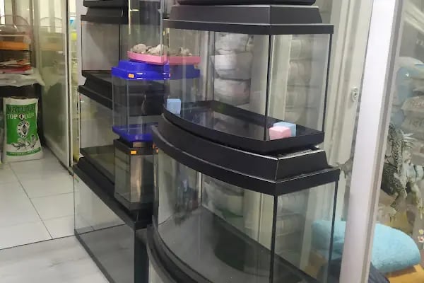 SARAY PETSHOP AKVARYUM VE KUŞ GALERİSİ - Resim 10