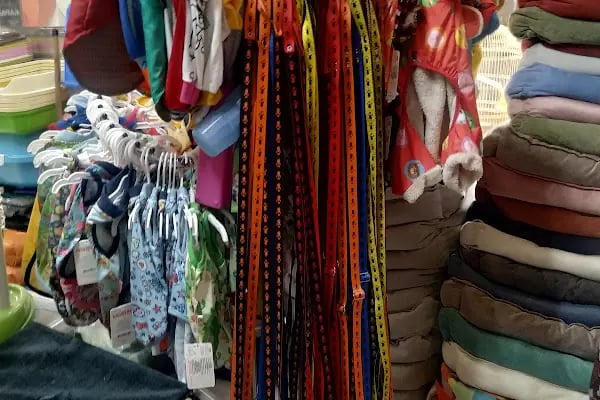 SARAY PETSHOP AKVARYUM VE KUŞ GALERİSİ - Resim 15