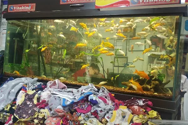 SARAY PETSHOP AKVARYUM VE KUŞ GALERİSİ - Resim 17
