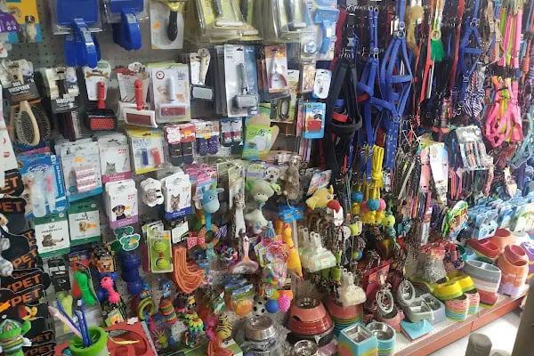 SARAY PETSHOP AKVARYUM VE KUŞ GALERİSİ - Resim 11