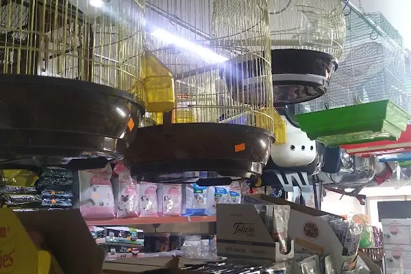SARAY PETSHOP AKVARYUM VE KUŞ GALERİSİ - Resim 3