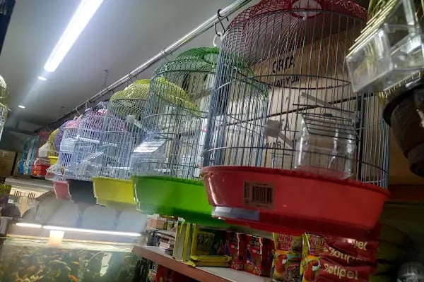 SARAY PETSHOP AKVARYUM VE KUŞ GALERİSİ - Resim 12