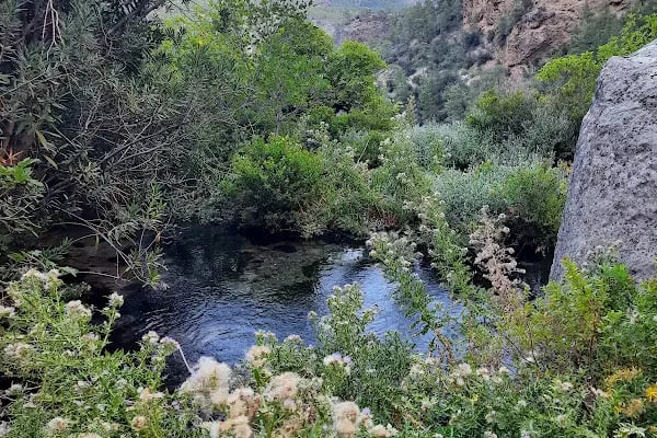 Yerköprü Şelalesi Tabiat Parkı Mut/Evren - Resim 13