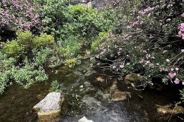 Yerköprü Şelalesi Tabiat Parkı Mut/Evren - Resim 16