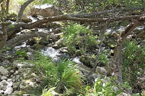 Yerköprü Şelalesi Tabiat Parkı Mut/Evren - Resim 17
