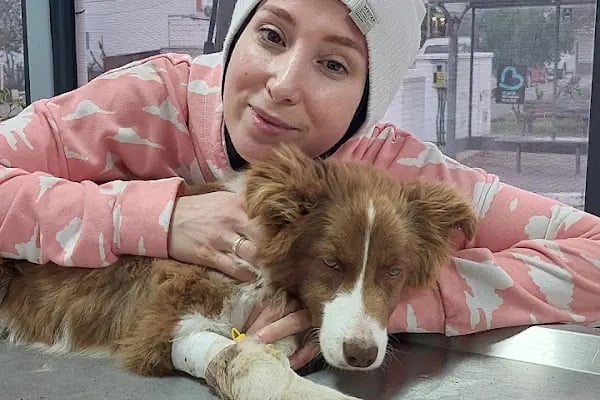 No:10 Veteriner Kliniği - Resim 18