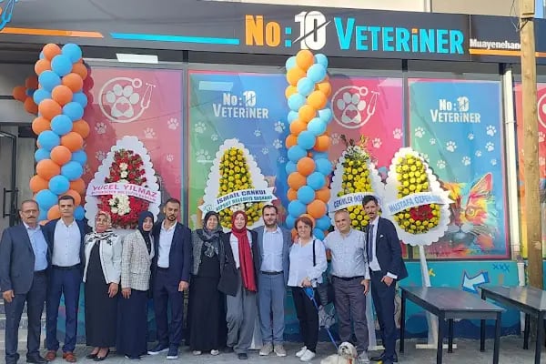 No:10 Veteriner Kliniği - Resim 2