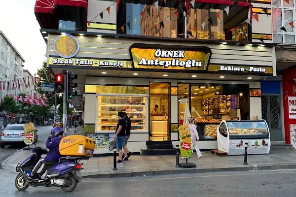Örnek Anteplioglu - Resim 13