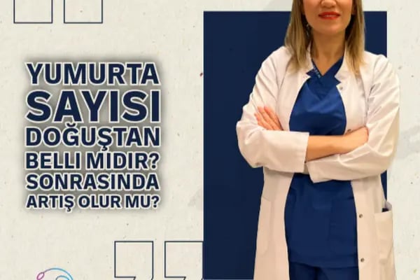 Prof. Dr. Nadiye Köroğlu; Kadın Hastalıkları ve Doğum, Tüp Bebek Uzmanı - Resim 12