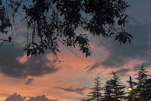 ÖZGÜR BESİ ÇİFTLİĞİ - Resim 4
