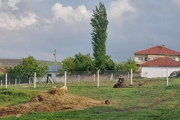 ÖZGÜR BESİ ÇİFTLİĞİ - Resim 14