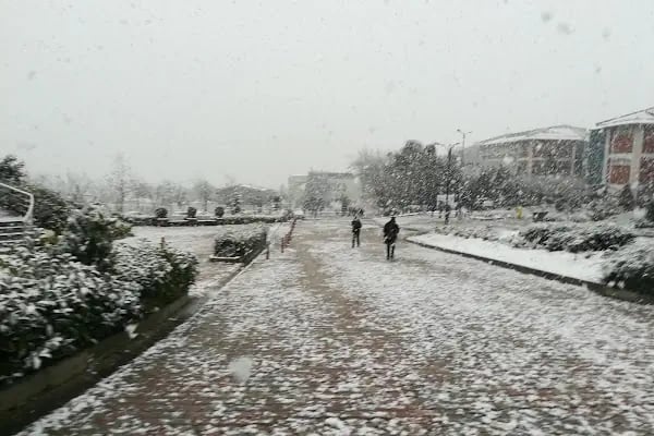 İstanbul Üniversitesi - Resim 18