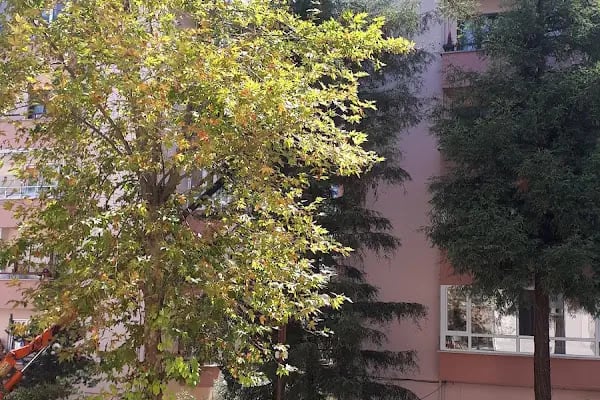 Akevler Öğretmenler Sitesi - Resim 19