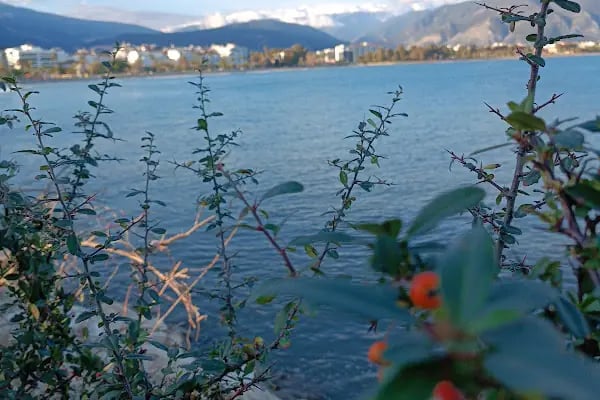 Künefe Dünyası Menderes Usta'nın Yeri - Resim 14