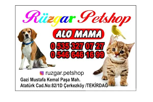 PetStils Pet kuaför &amp; Petshop Çerkezköy - Resim 2