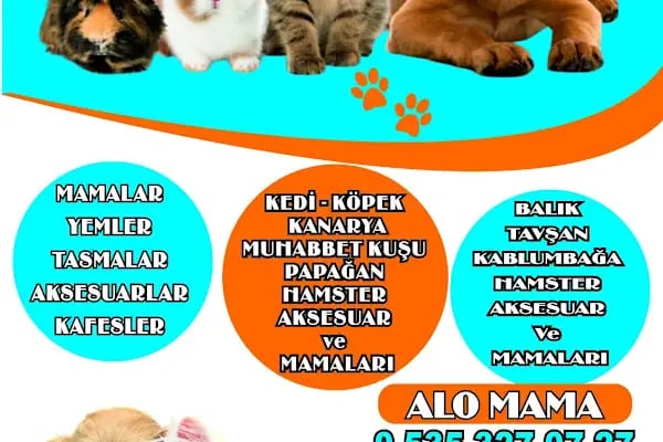 PetStils Pet kuaför &amp; Petshop Çerkezköy - Resim 3