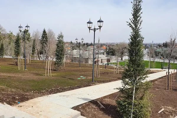 Şeyh Tavusbaba Camii ve Türbesi - Resim 20