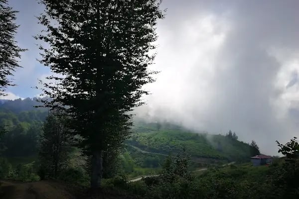 Hıdırnebi Villa - Resim 3