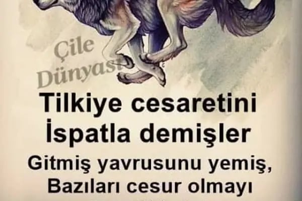 Bursa Duran Halı Yıkama - Resim 11