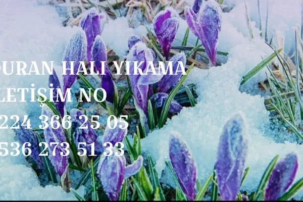 Bursa Duran Halı Yıkama - Resim 18