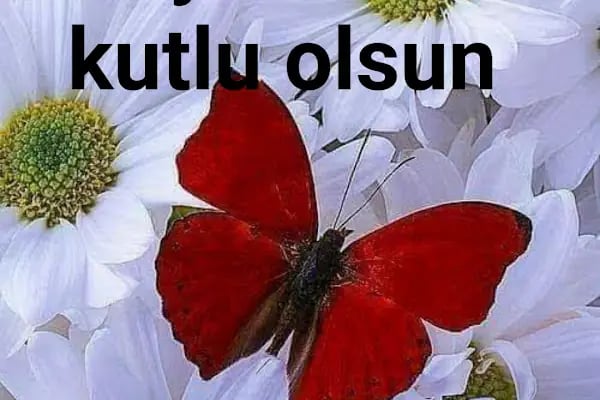 Bursa Duran Halı Yıkama - Resim 15