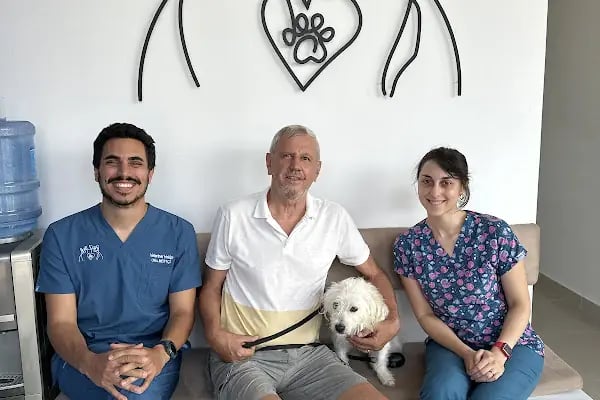 HORIZON VETERİNER KLİNİĞİ - Resim 8