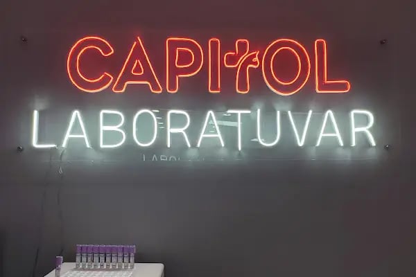 Capitol Veteriner Kliniği Bakırköy 7/24 Acil - Resim 17