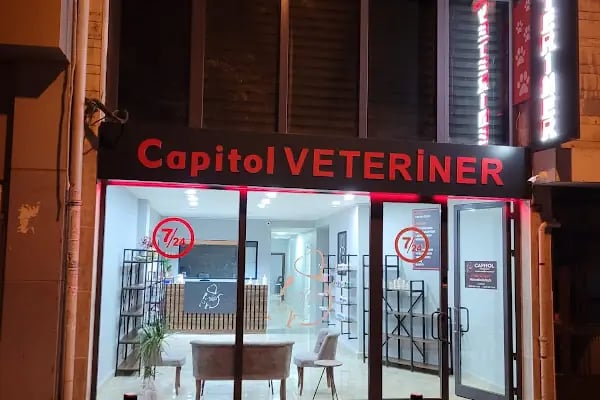 Capitol Veteriner Kliniği Bakırköy 7/24 Acil - Resim 2