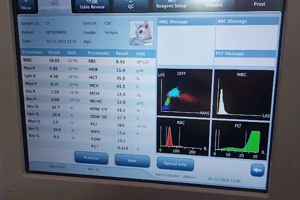 Capitol Veteriner Kliniği Bakırköy 7/24 Acil - Resim 15